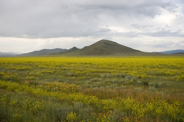 Similar image 386468