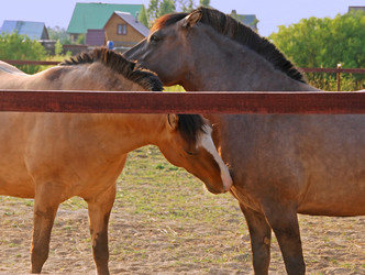 Similar image 386472