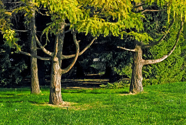 Similar image 386486