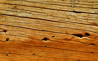 Similar image 386553