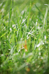 Similar image 386564