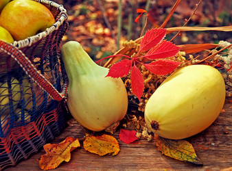 Similar image 386572