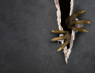 Similar image 386579