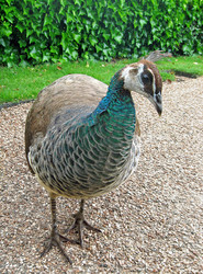 Similar image 386832