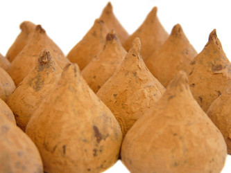 Similar image 386876