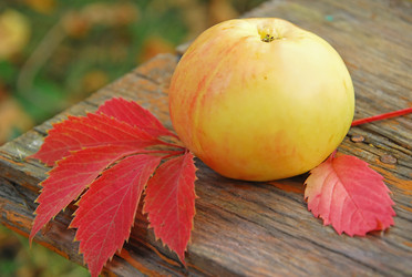 Similar image 386897