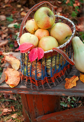 Similar image 386898