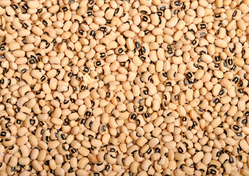 Similar image 386913