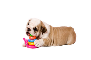 Similar image 386931