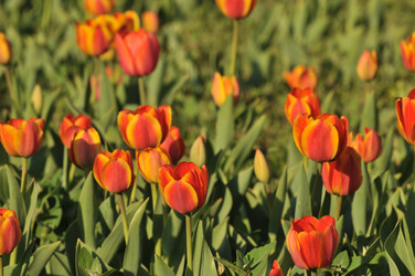 Similar image 386948