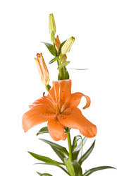 Similar image 386950