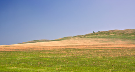 Similar image 387122