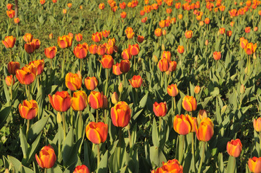 Similar image 387135