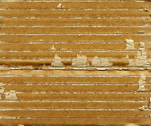 Similar image 387293