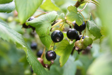 Similar image 387319