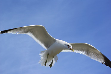 Similar image 387332