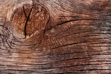 Similar image 387545