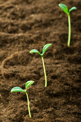 Similar image 387634