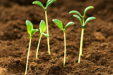 Similar image 387639