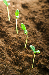 Similar image 387641