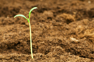 Similar image 387648