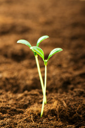 Similar image 387652