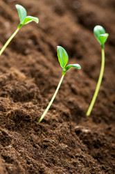 Similar image 387655