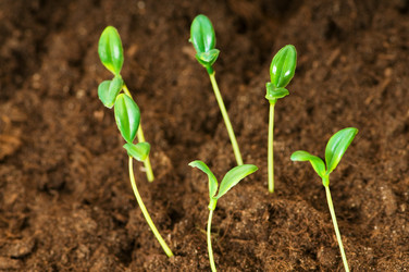 Similar image 387658