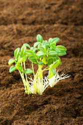 Similar image 387660