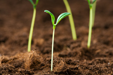 Similar image 387662