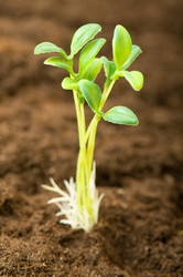 Similar image 387663