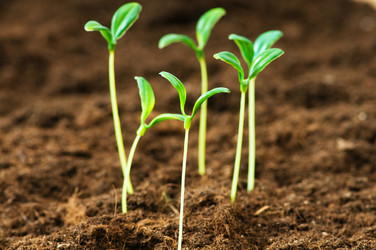 Similar image 387667