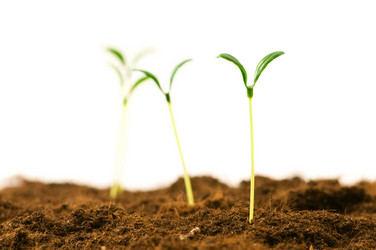 Similar image 387669