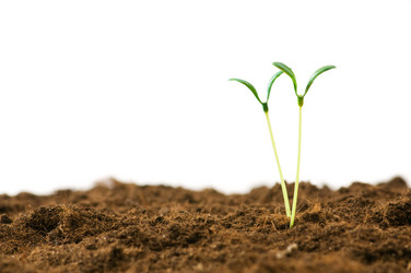 Similar image 387670