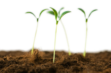 Similar image 387675