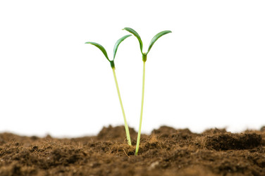 Similar image 387677