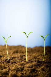 Similar image 387684