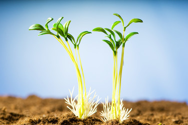 Similar image 387685