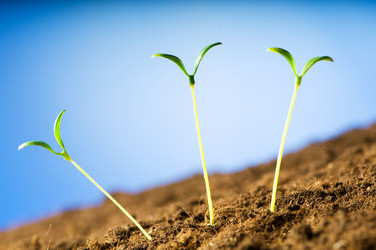 Similar image 387688