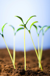 Similar image 387690