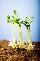 Similar image 387698