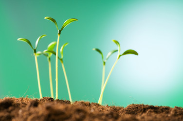 Similar image 387702