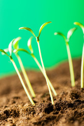 Similar image 387703