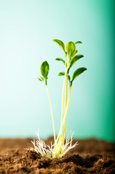 Similar image 387712