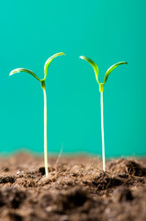 Similar image 387715