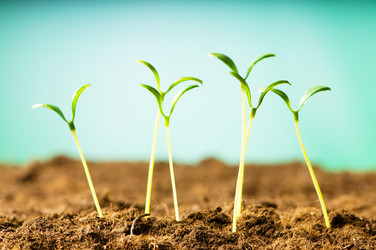 Similar image 387725