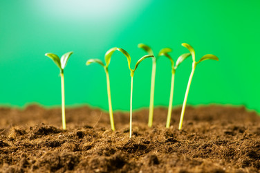 Similar image 387729