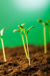 Similar image 387731