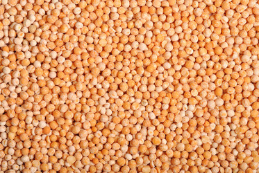 Similar image 387870