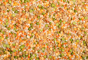 Similar image 387872